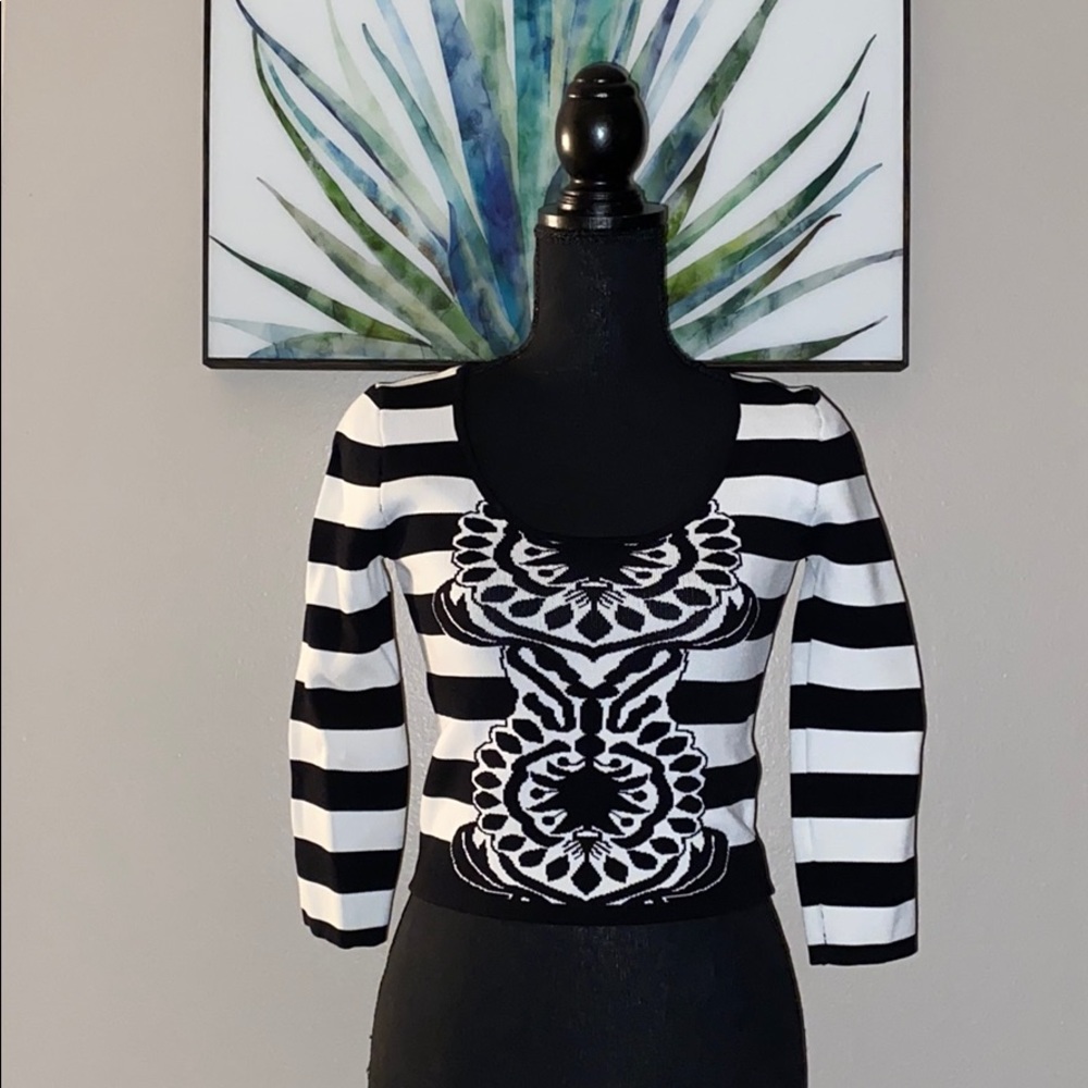 Jealous Tomato Jacquard Knit Top